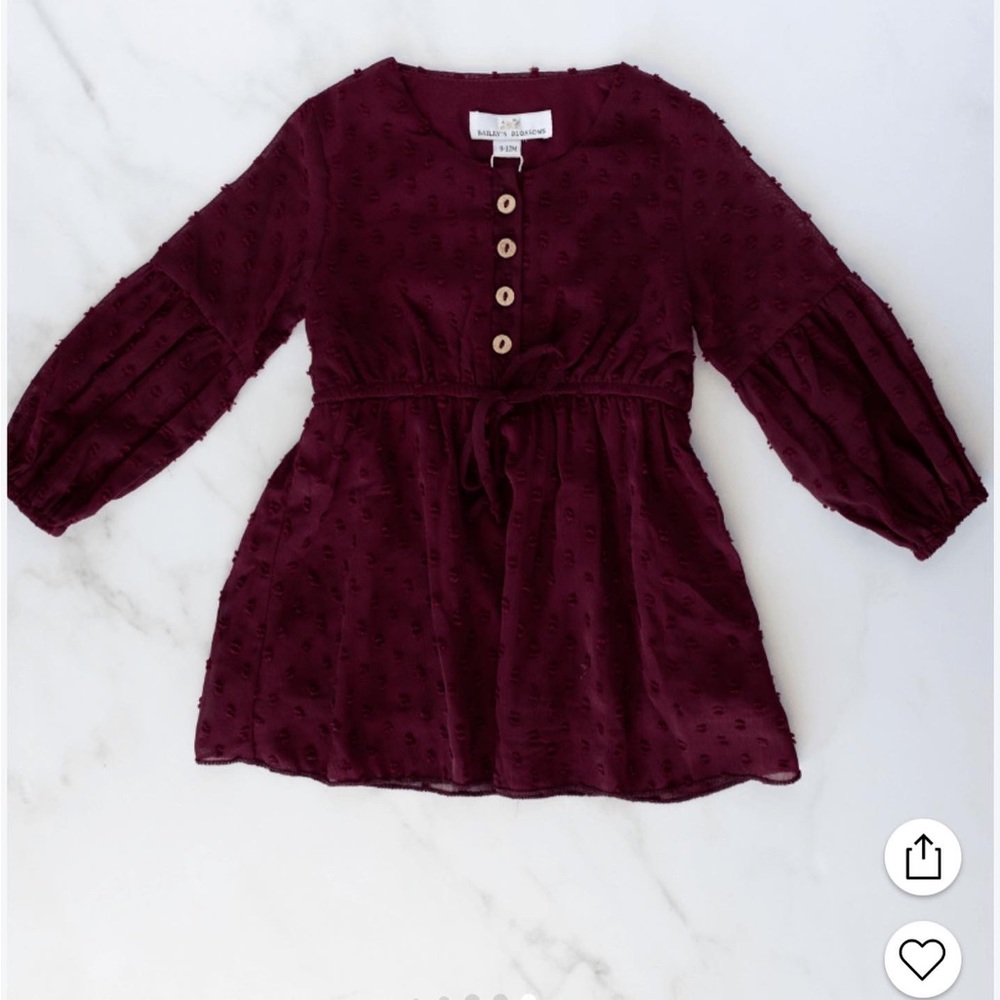 Baileys Blossoms Boutique dress size 9-12m dress